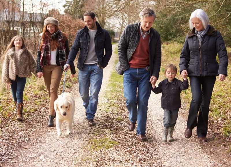 Divorce and Family Law
