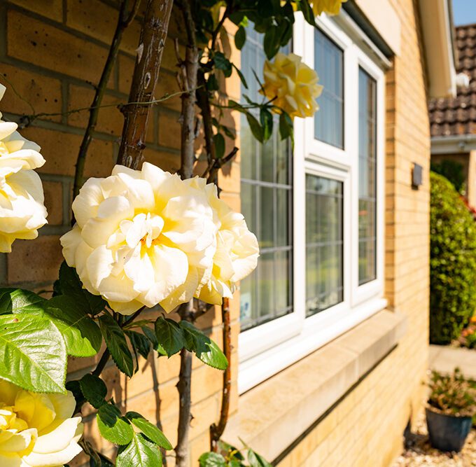 How are joint assets handled in Estate Administration?